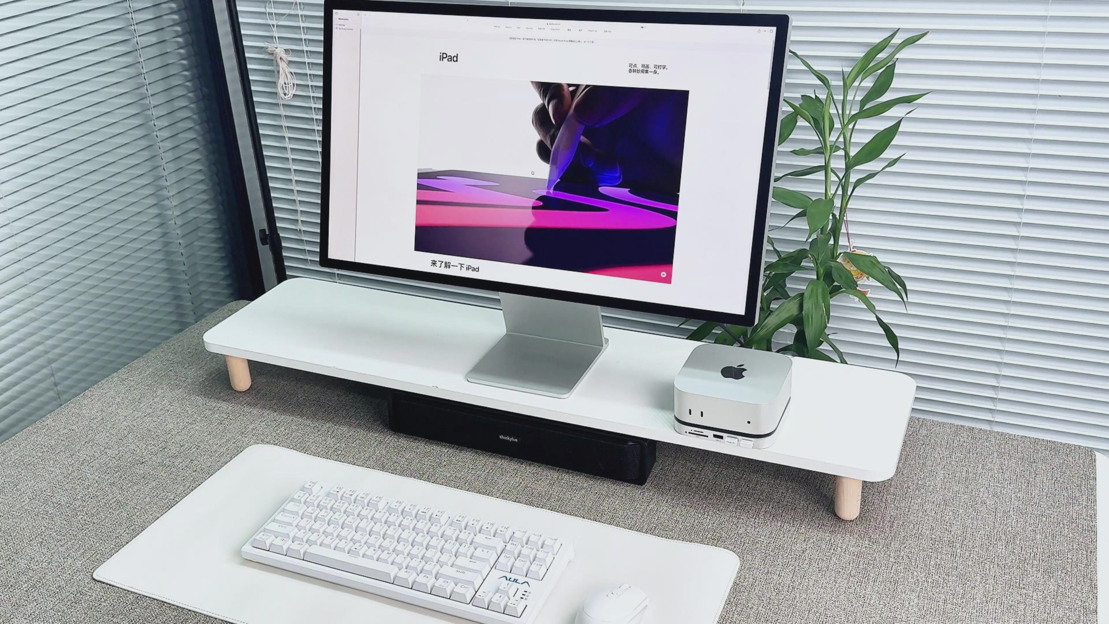 PULWTOP Mac Mini M4 Dock Accesorios & Stand ( M.2 NVME SSD Enclosure,